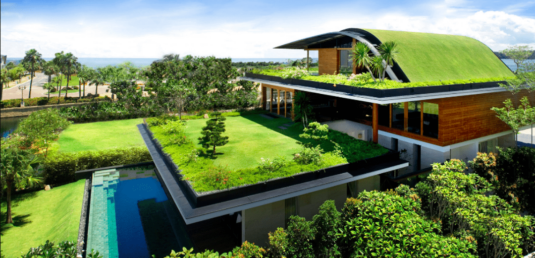 future homes industrial construction green roof min