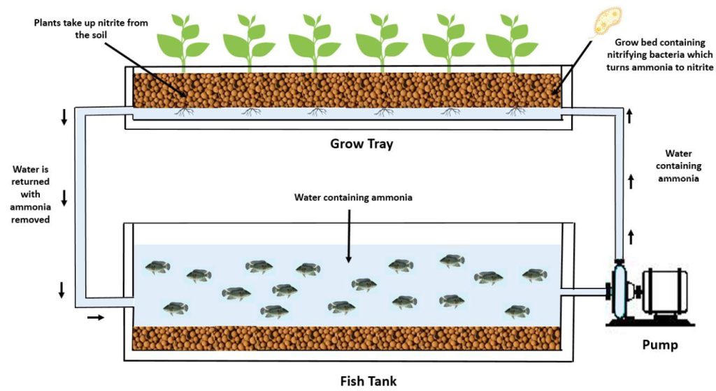 Urban and Vertical Farming in Architectural Design - Green Arch World