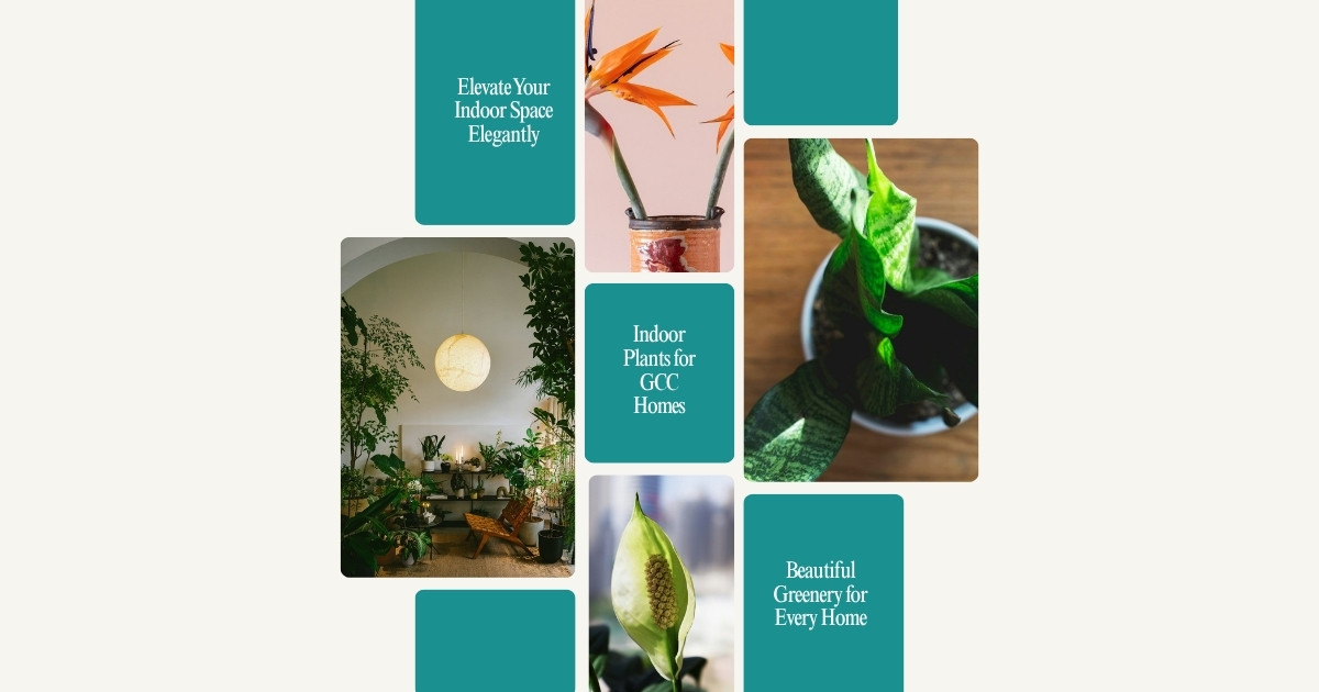 Collage of indoor plants suited to GCC homes: living room greenery, snake plant, statement palm, peace lily, and a desk plant